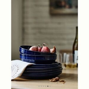 Anthropologie Rowen Portuguese stoneware Blue Dinner Plates-set of 4